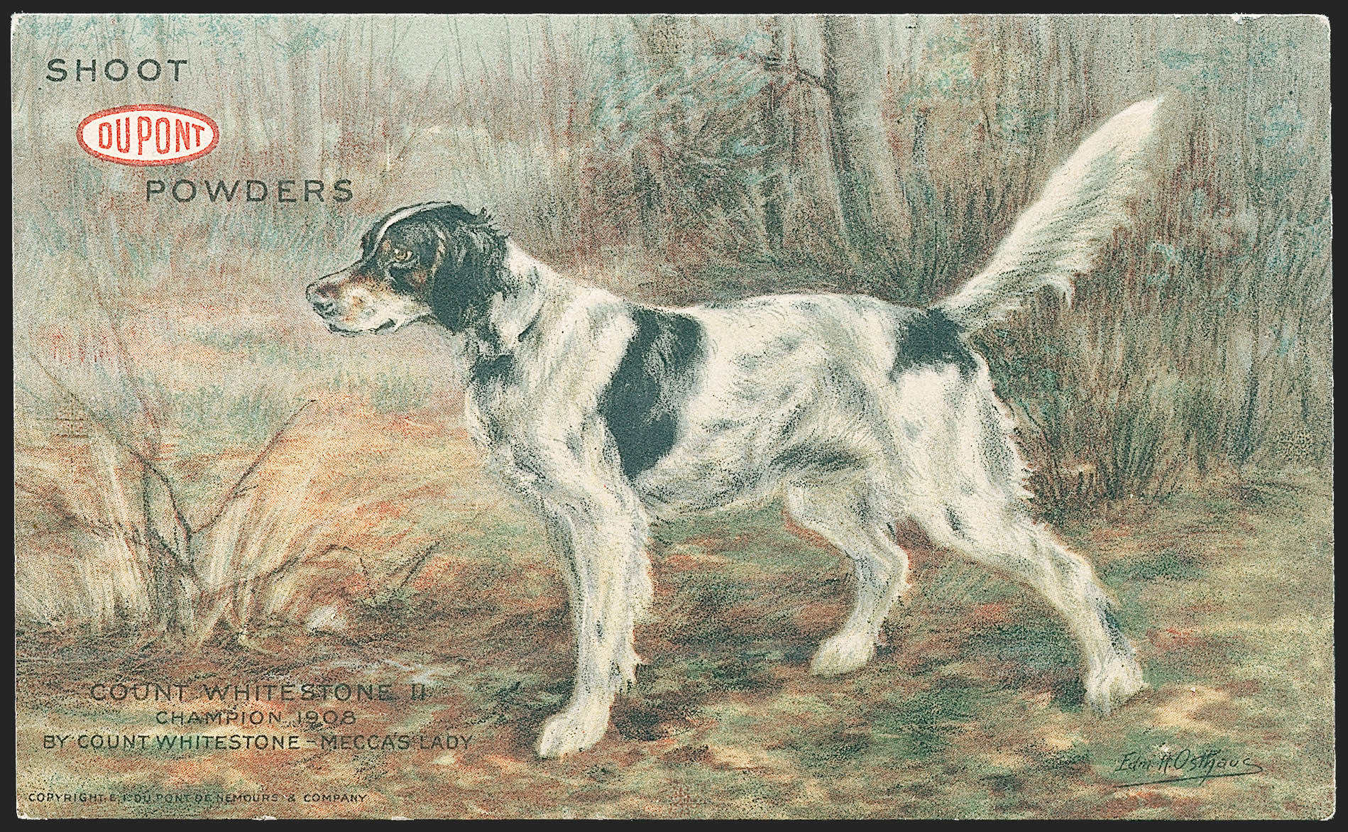 Sale no. 1223 — Lot no. 8528 — Siegel Auction Galleries