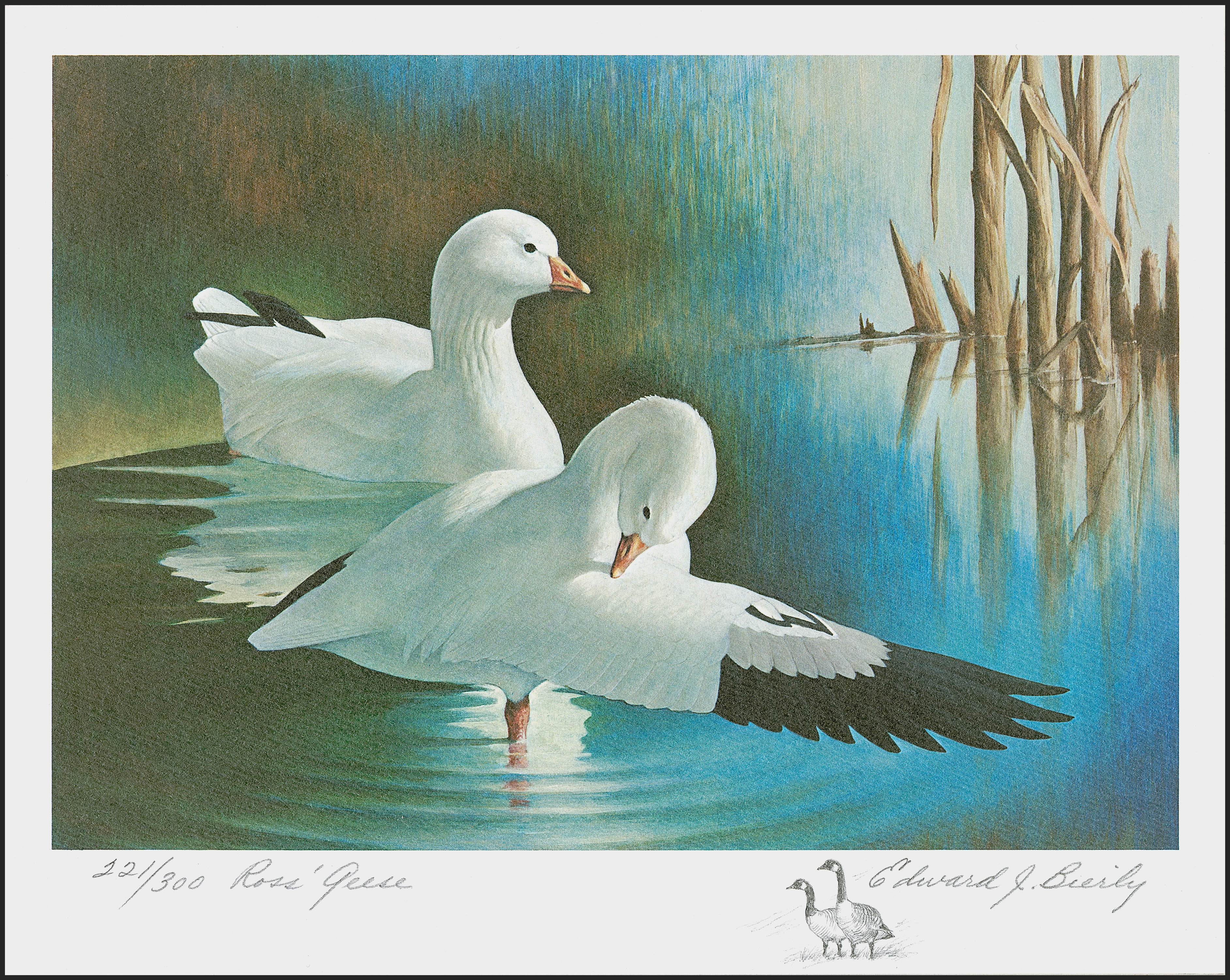 Sale no. 1258 — Lot no. 3023 — Siegel Auction Galleries