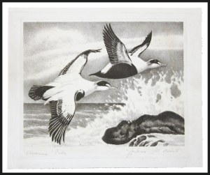 Sale 914, Lot 3147, Hunting Permits