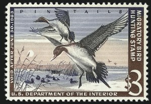 Sale Number 953, Lot Number 1904, Hunting Permits Sale Number 953, Lot Number 1904, Hunting Permits