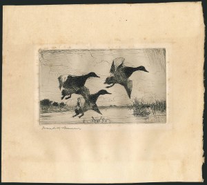 Sale 1116, Lot 3513, Hunting Permits thru Savings, Offical Seals