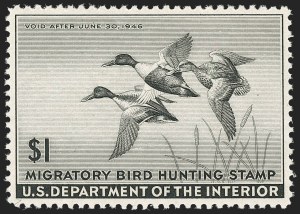 Sale Number 1192, Lot Number 801, Revenues