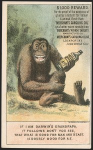 Sale 1212, Lot 533, Private Die Medicine Stamps: M thru R