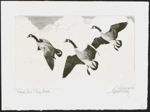 Sale 1258, Lot 3004, Duck Stamp Prints from Winning Artists, 1934-2021