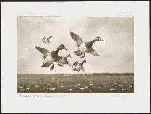 Sale 1258, Lot 3005, Duck Stamp Prints from Winning Artists, 1934-2021