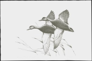 Sale 1258, Lot 3009, Duck Stamp Prints from Winning Artists, 1934-2021