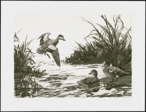 Sale 1258, Lot 3011, Duck Stamp Prints from Winning Artists, 1934-2021
