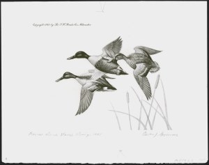 Sale 1258, Lot 3014, Duck Stamp Prints from Winning Artists, 1934-2021
