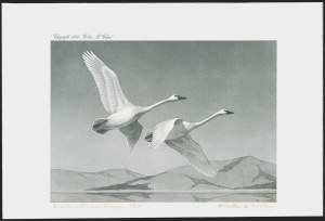 Sale 1258, Lot 3018, Duck Stamp Prints from Winning Artists, 1934-2021