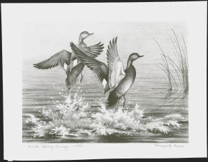 Sale 1258, Lot 3019, Duck Stamp Prints from Winning Artists, 1934-2021