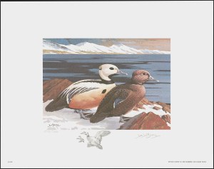 Sale 1258, Lot 3025, Duck Stamp Prints from Winning Artists, 1934-2021