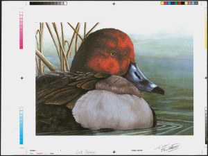 Sale 1258, Lot 3171, Junior Duck Stamps, $5.00 1993 Junior Duck Stamp, Production Material Sale 1258, Lot 3171, Junior Duck Stamps