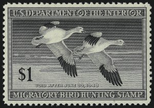 Sale Number 1061, Lot Number 4519, Motor Vehicle Tax thru Hunting Permits Sale Number 1061, Lot Number 4519, Motor Vehicle Tax thru Hunting Permits
