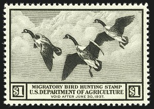 Sale Number 1110, Lot Number 1488, Hunting Permits (Scott RW) Sale Number 1110, Lot Number 1488, Hunting Permits (Scott RW)