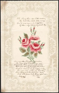 Sale 1232, Lot 1761, Local Posts and Independent Mails: Brainard thru Eagle City Post, Bush's Brooklyn City N.Y. 2 Cent Express Sale 1232, Lot 1761, Local Posts and Independent Mails: Brainard thru Eagle City Post