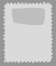 Hing Mark or Remnant